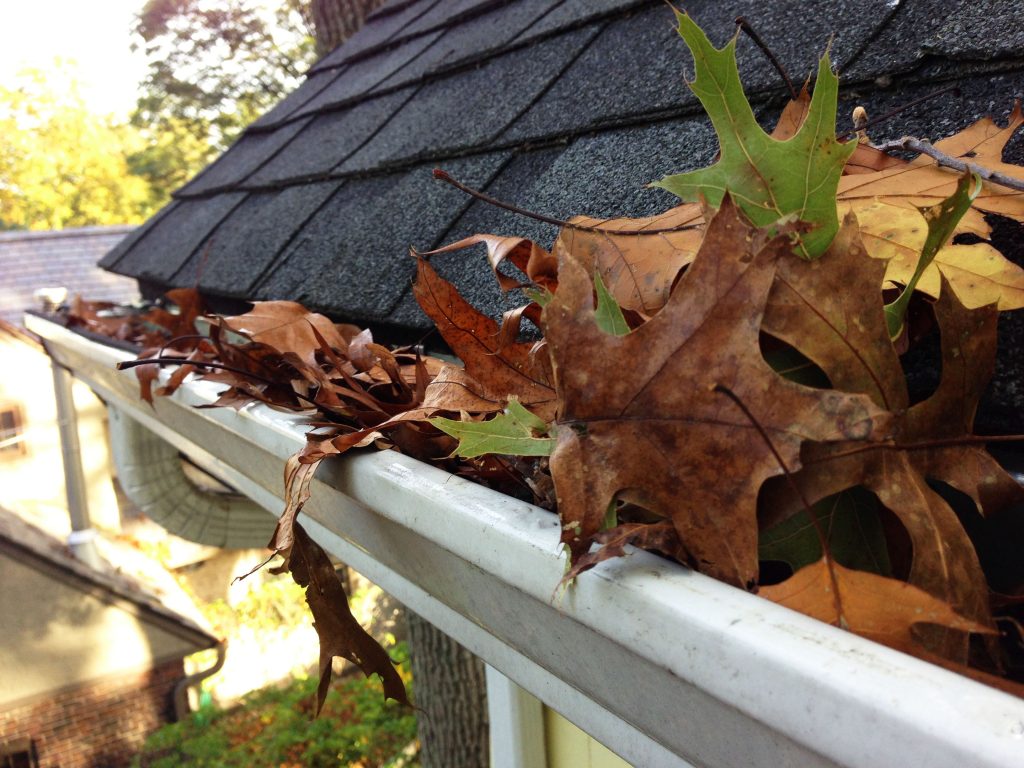 gutter-cleaning-etowah-county-alabama